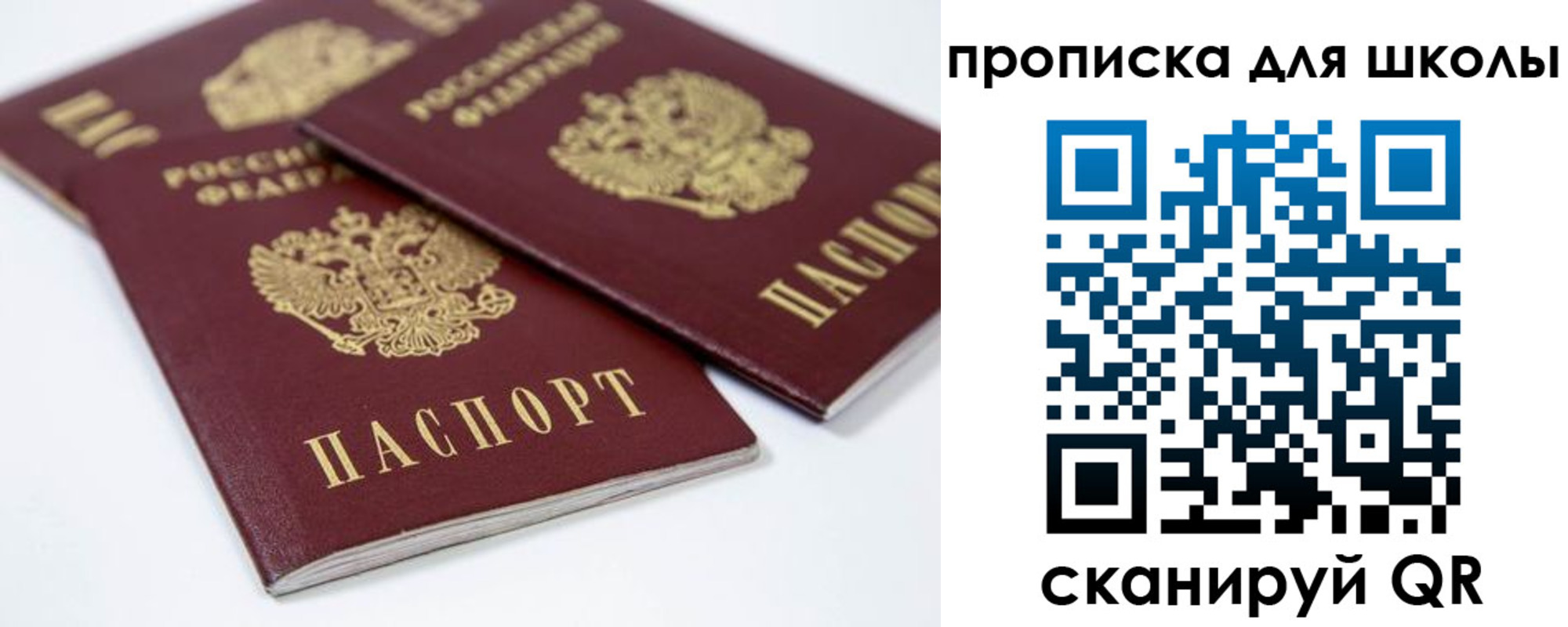 временная прописка в Лосино-Петровском