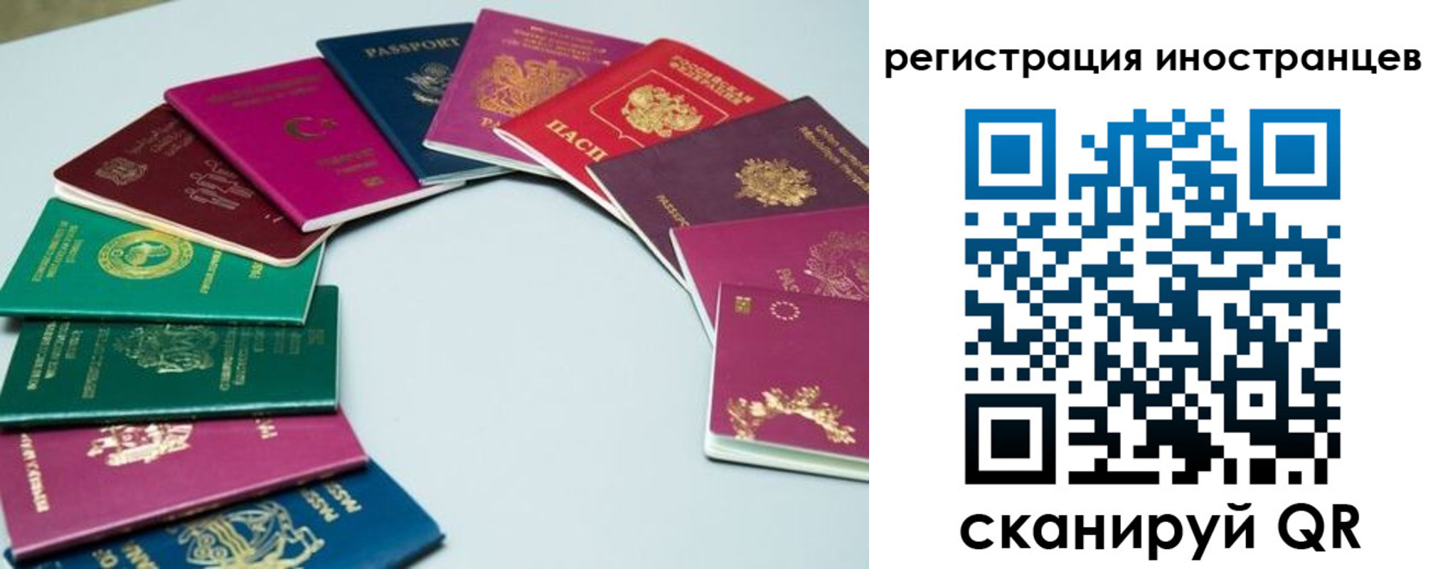 регистрация в Лосино-Петровском